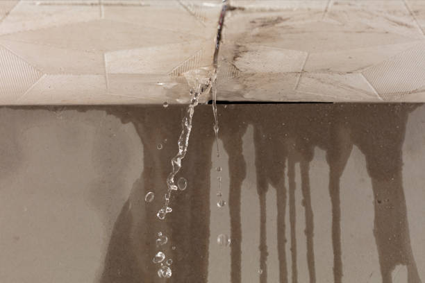 Professional Structural Drying technician working in Awendaw, SC